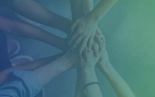 An Unparalleled Approach to Supporting Online Students